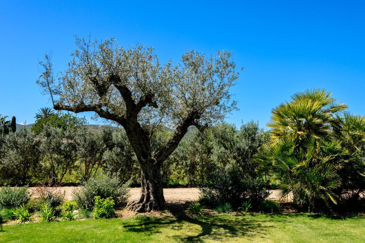 Jaume Arabi De Baix Villa