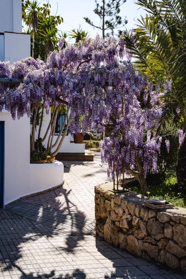 Carvi Villa