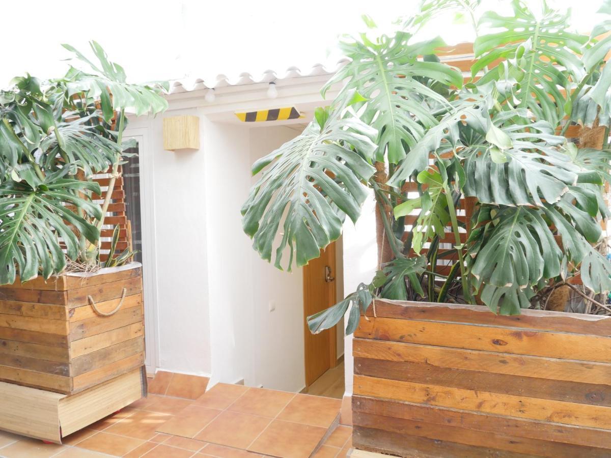 Nanit Ibiza Gasthuis Santa Eularia des Riu