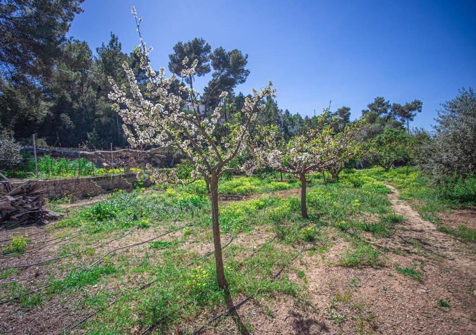Cala Bassa Holiday home