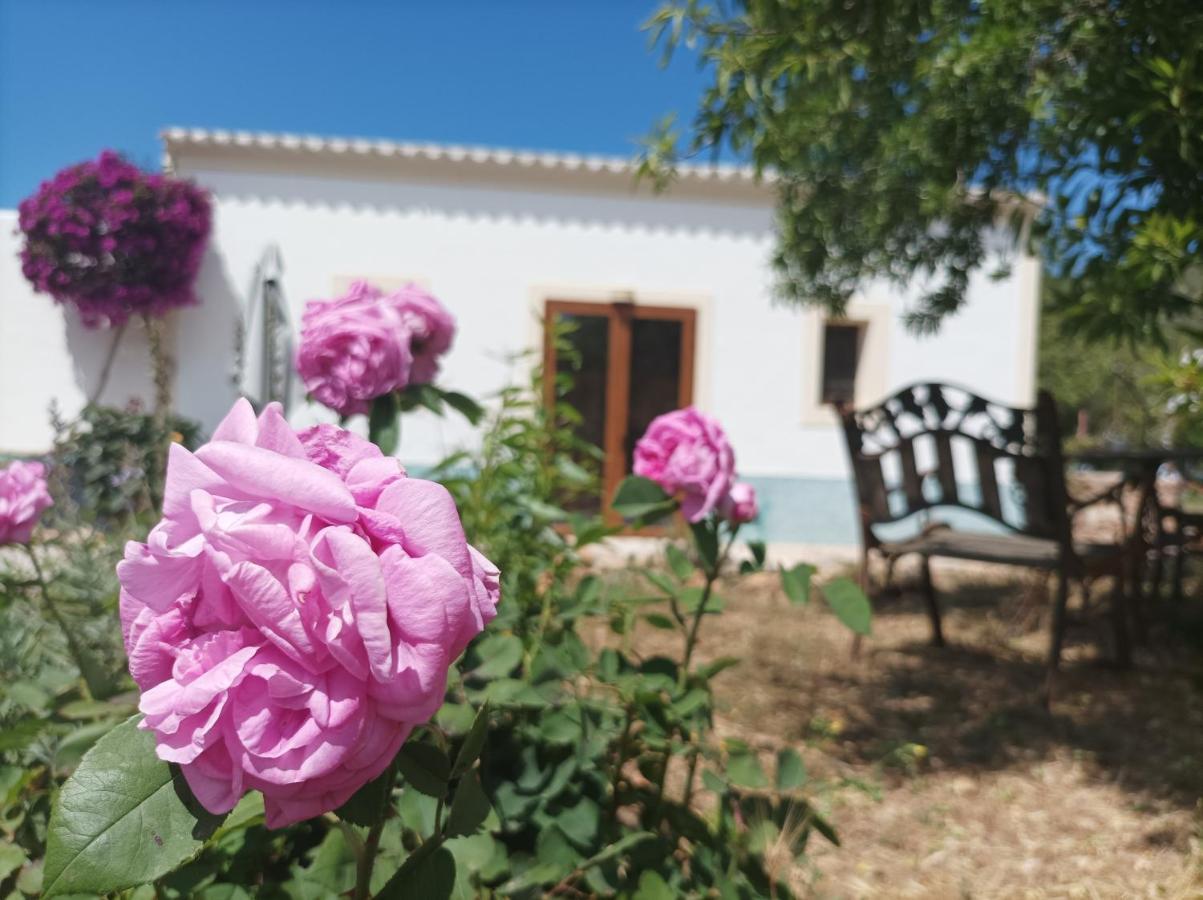 Casa de férias Pep Pardal Sant Miquel De Balansat