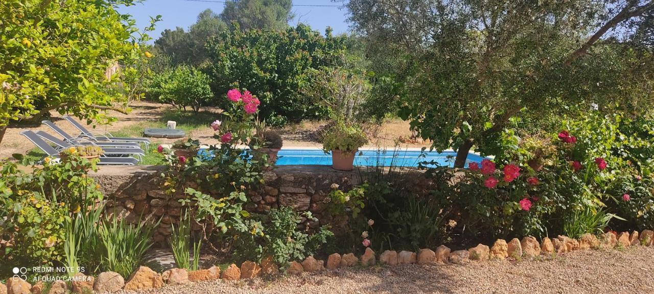 Casa Can Boletar * Santa Gertrudis (Ibiza)