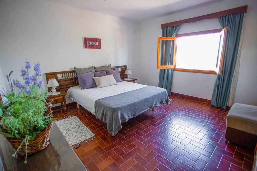 Vakantiehuis Cala Bassa