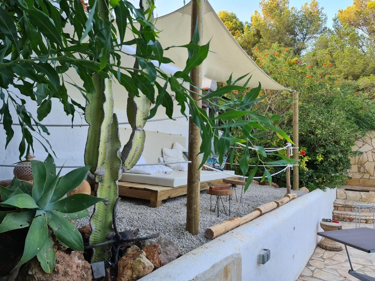 Private Mit Eigenem Pool Unter Palmen *
