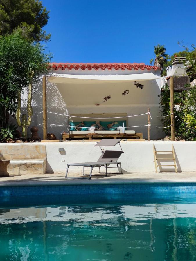 Private Mit Eigenem Pool Unter Palmen