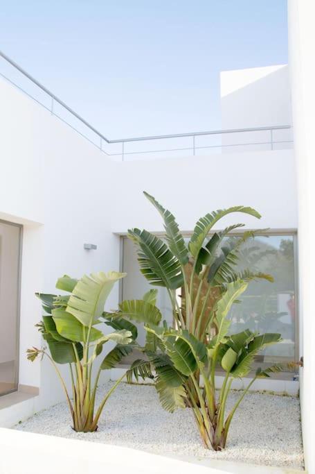 Modern In Cala Jondal Porroig Holiday home