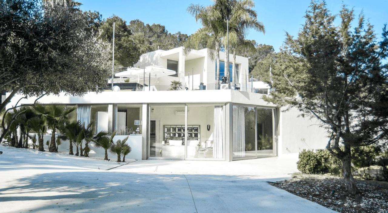 Villa Blue Rose