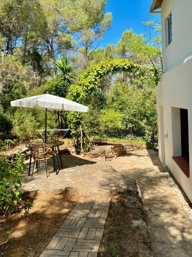 Guest house Iara 3*