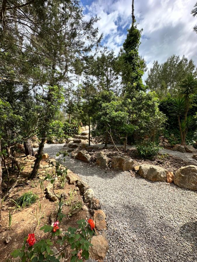 Iara Guest house Sant Miquel De Balansat