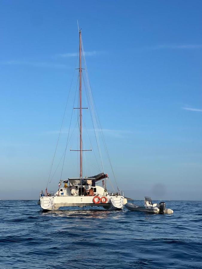 Catamaran Tagomago 50 Botel *