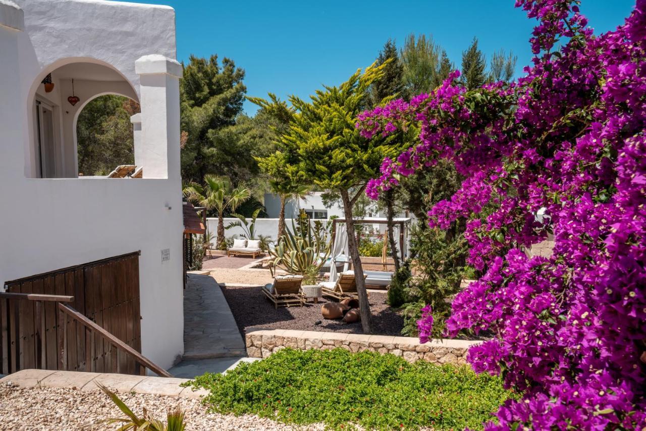 Sunset Lover Cala Comte/ Cala Tarida/ Cala Bassa Holiday home