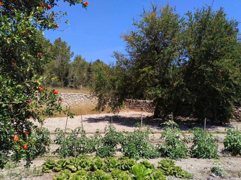 Villa Can Ferrer Authentic Payesa House San Antonio (Ibiza)