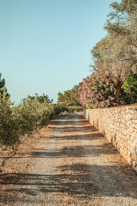 Norte, Amazing Close To The Beaches Portinatx