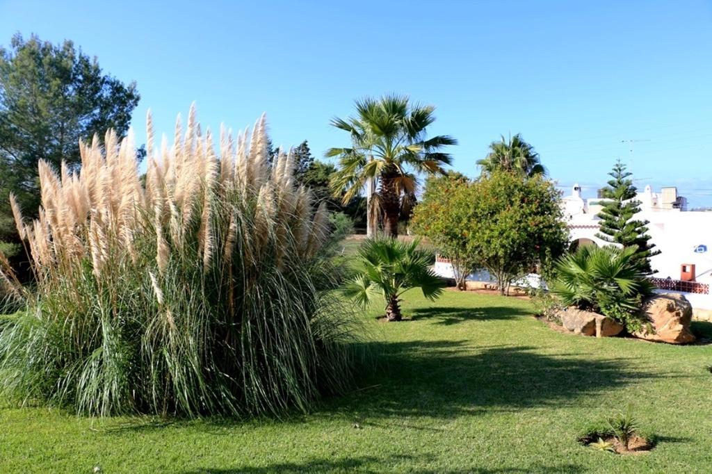 Bellissima Villa