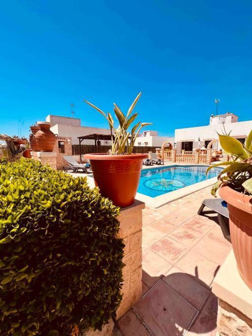 Flamingos, Playa D'en Bossa Area - Adults Only Chalet
