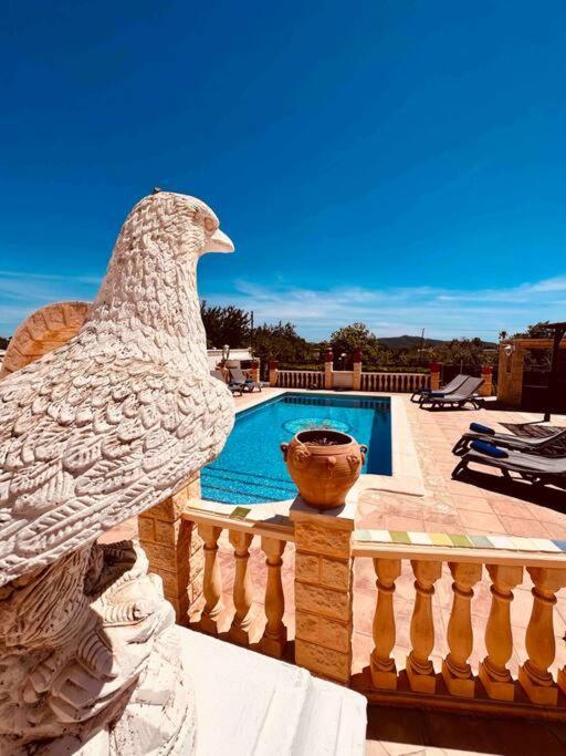 Flamingos, Playa D'en Bossa Area - Adults Only