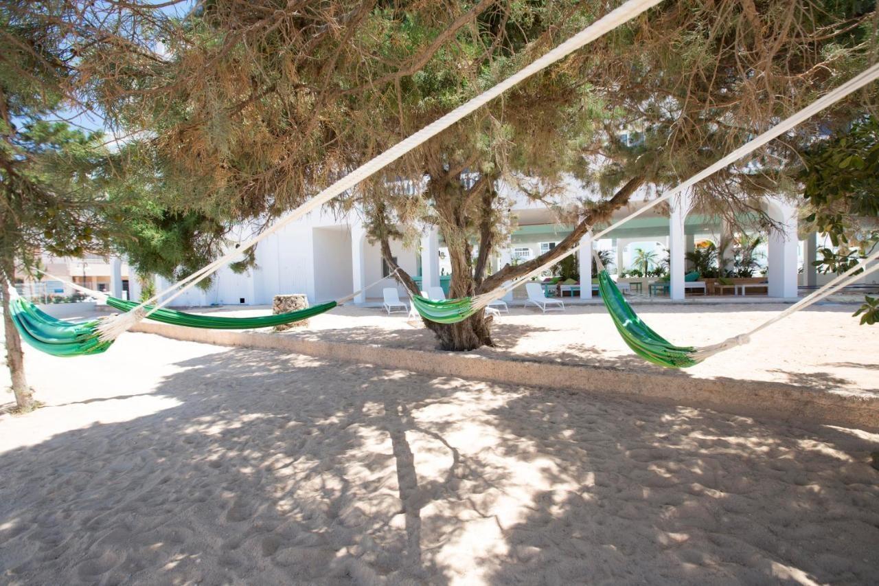 Aparthotel Star Ibiza (adults Only) 4*