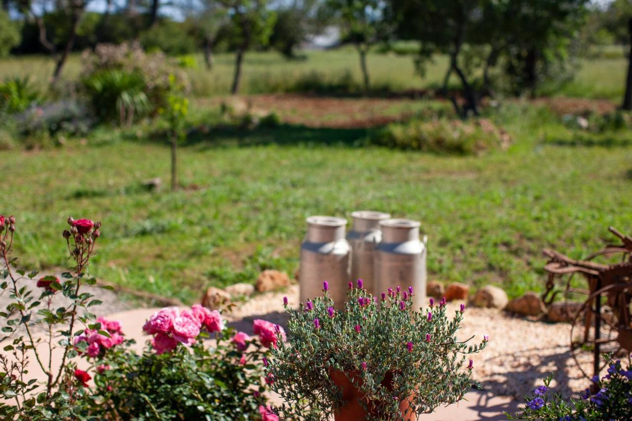 Agroturismo Casa Morna Ibiza