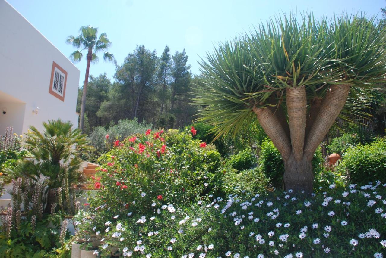 Pousada Pinato Cala Llonga (Ibiza)