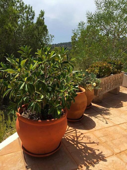 Beautiful Views With Pool In Ibiza Holiday home *