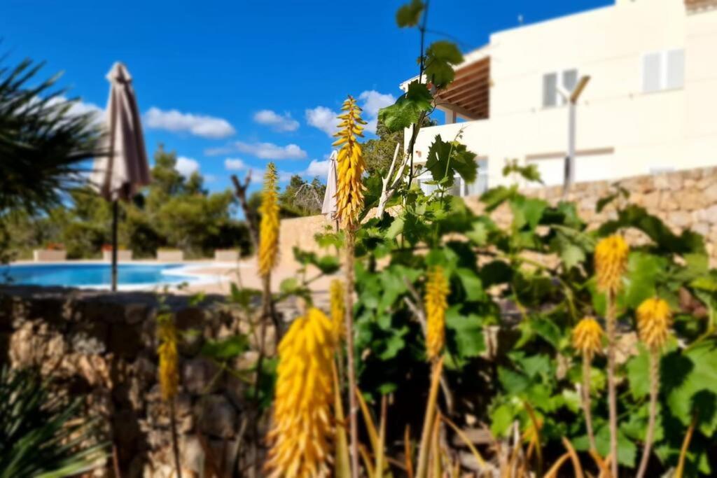 Beautiful Views With Pool In Ibiza Sant Miquel De Balansat