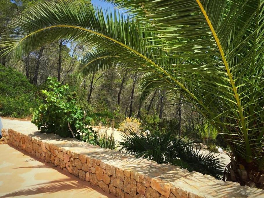 Beautiful Views With Pool In Ibiza Sant Miquel De Balansat
