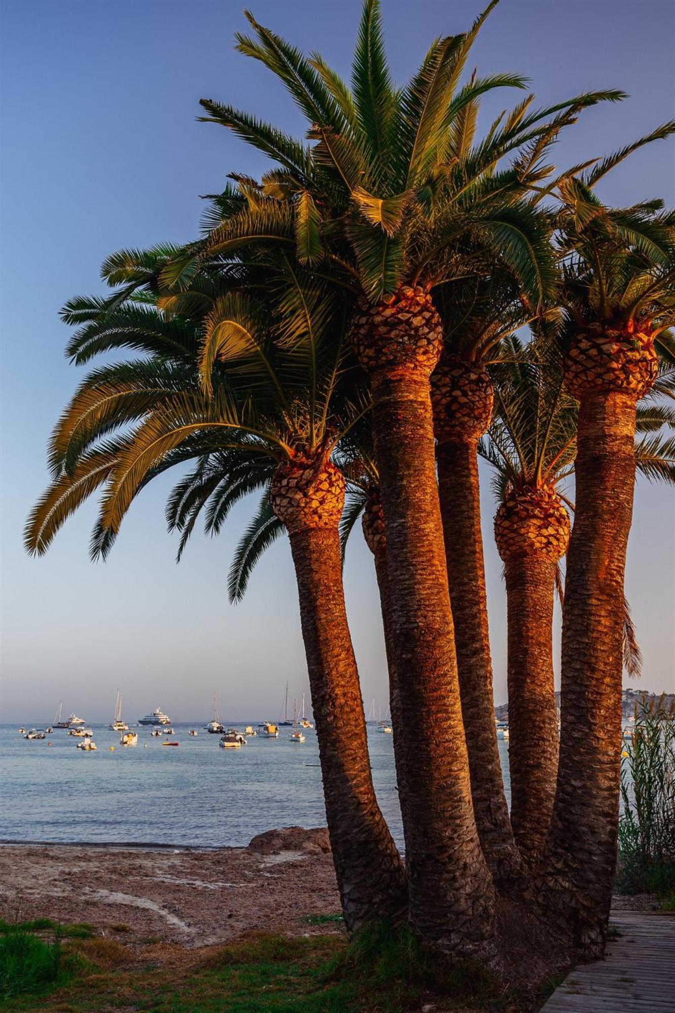 Hotel Simbad Ibiza Town