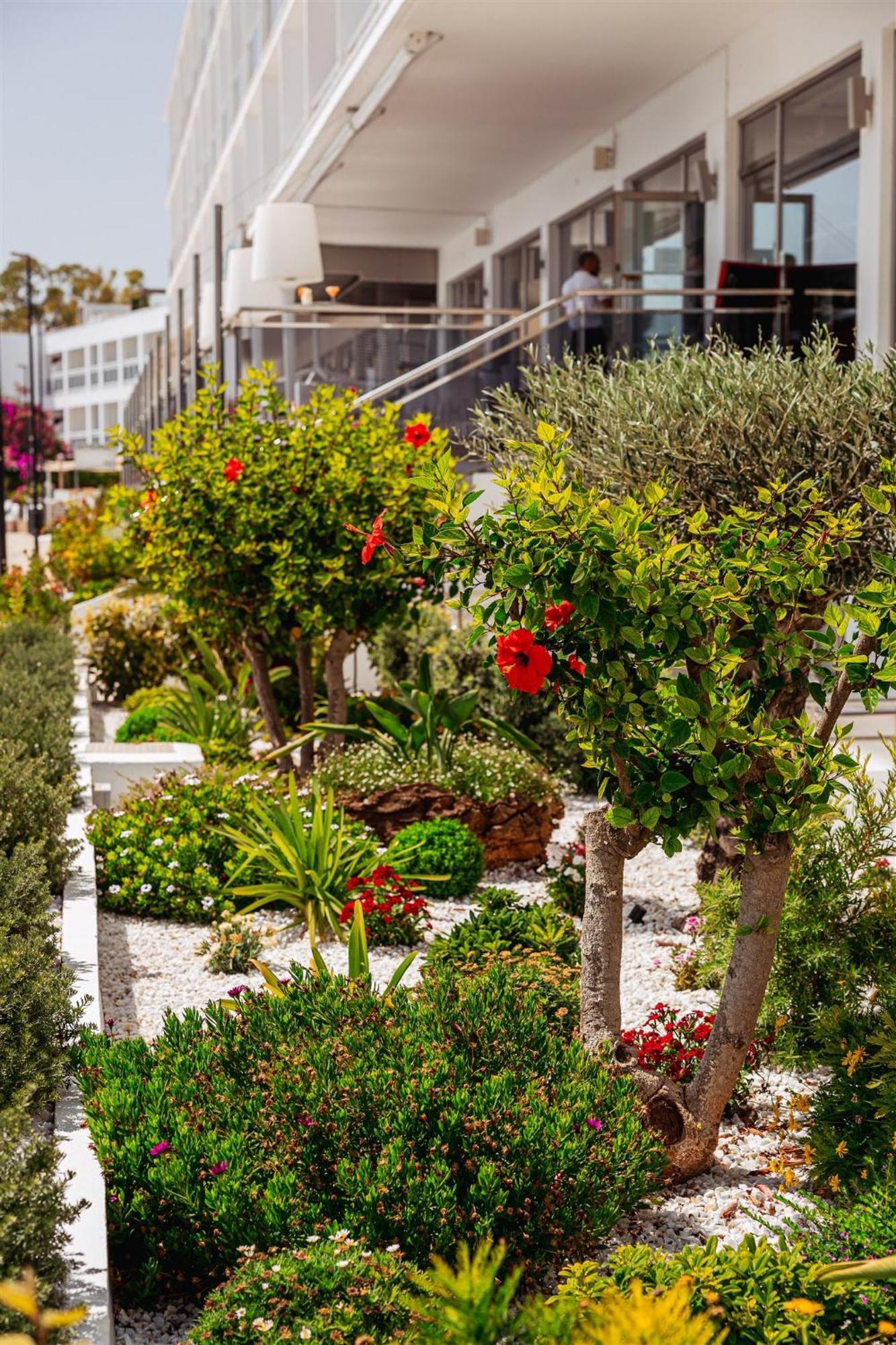 Hotel Simbad 4*