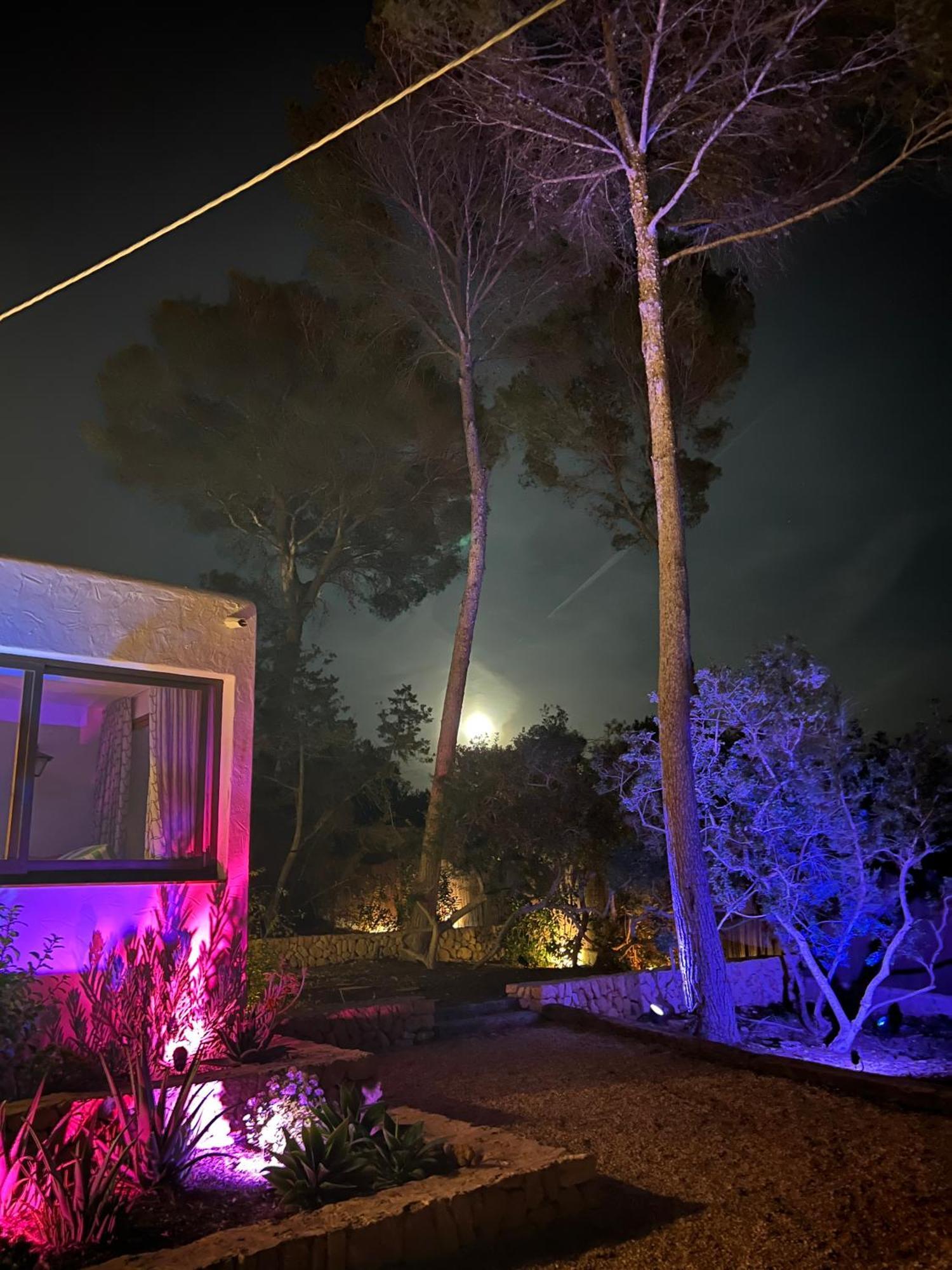 Spacious & Luxury In Ibiza - Santa Gertrudis - Chiquita * Santa Gertrudis (Ibiza)