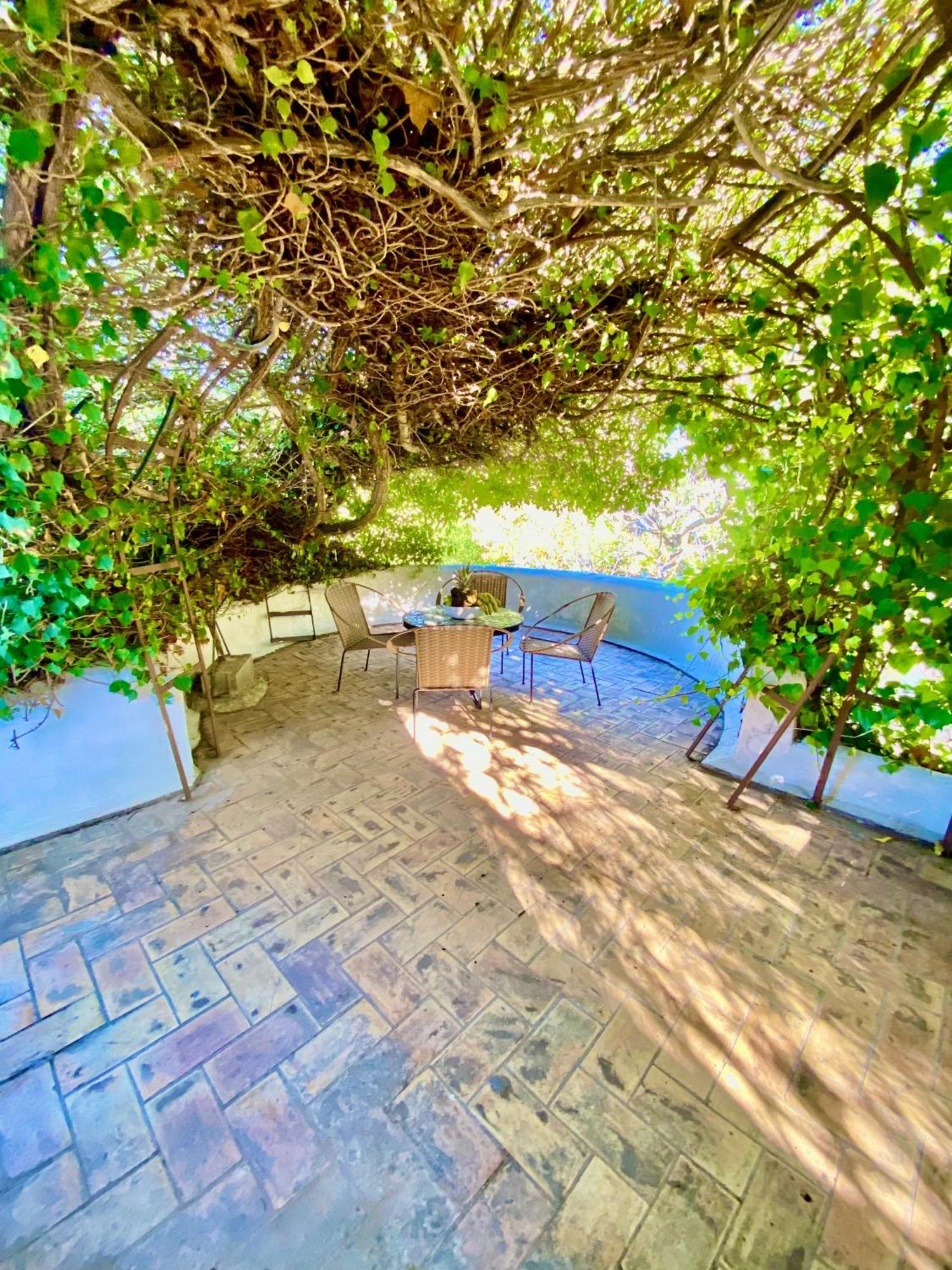Guest house Iara 3*