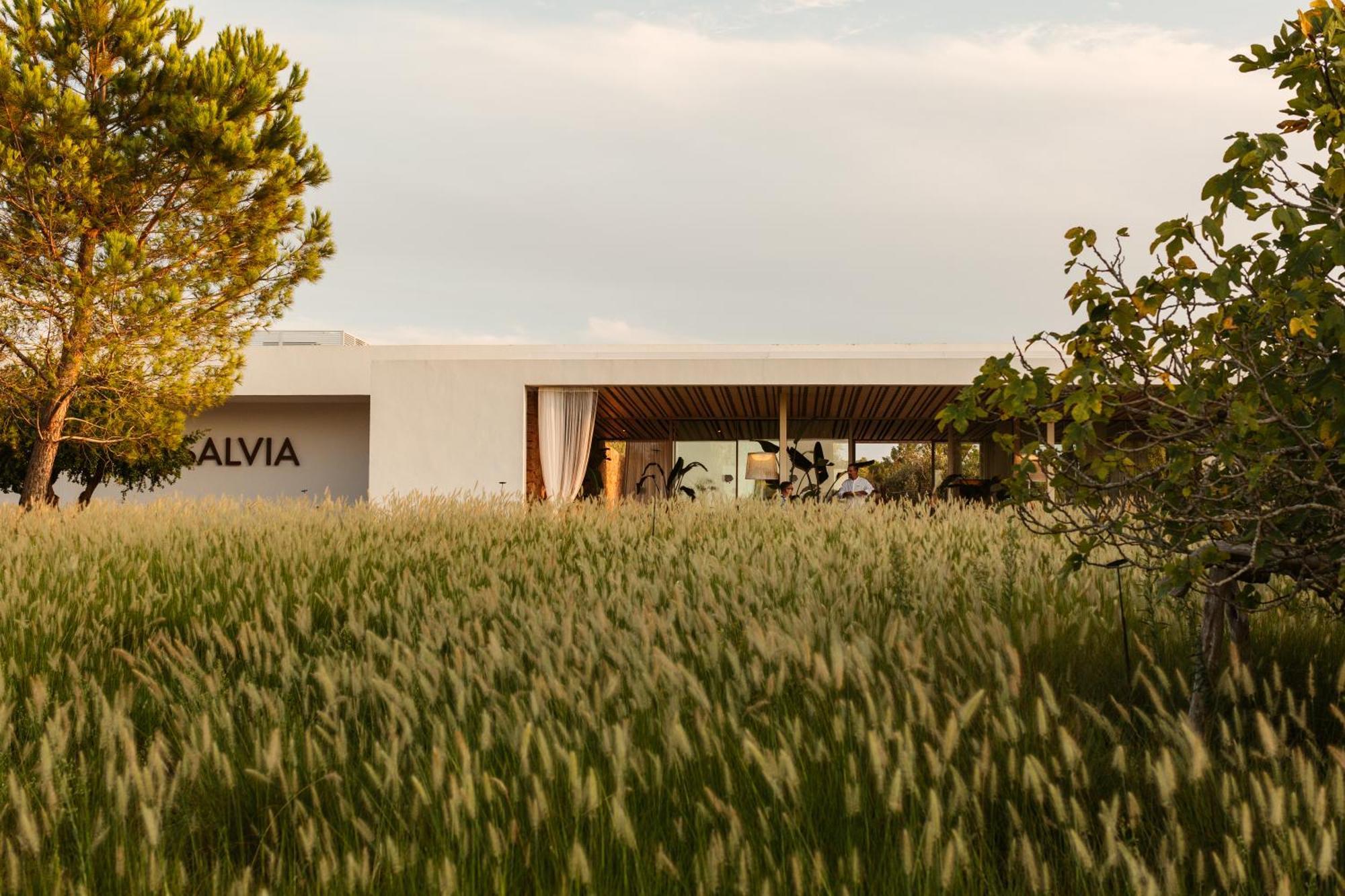 Ca Na Xica - & (adults Only) Hotel