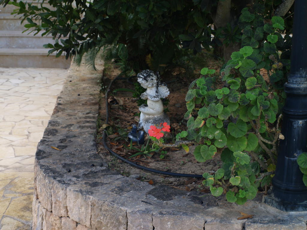Can Olivares Ibiza Town