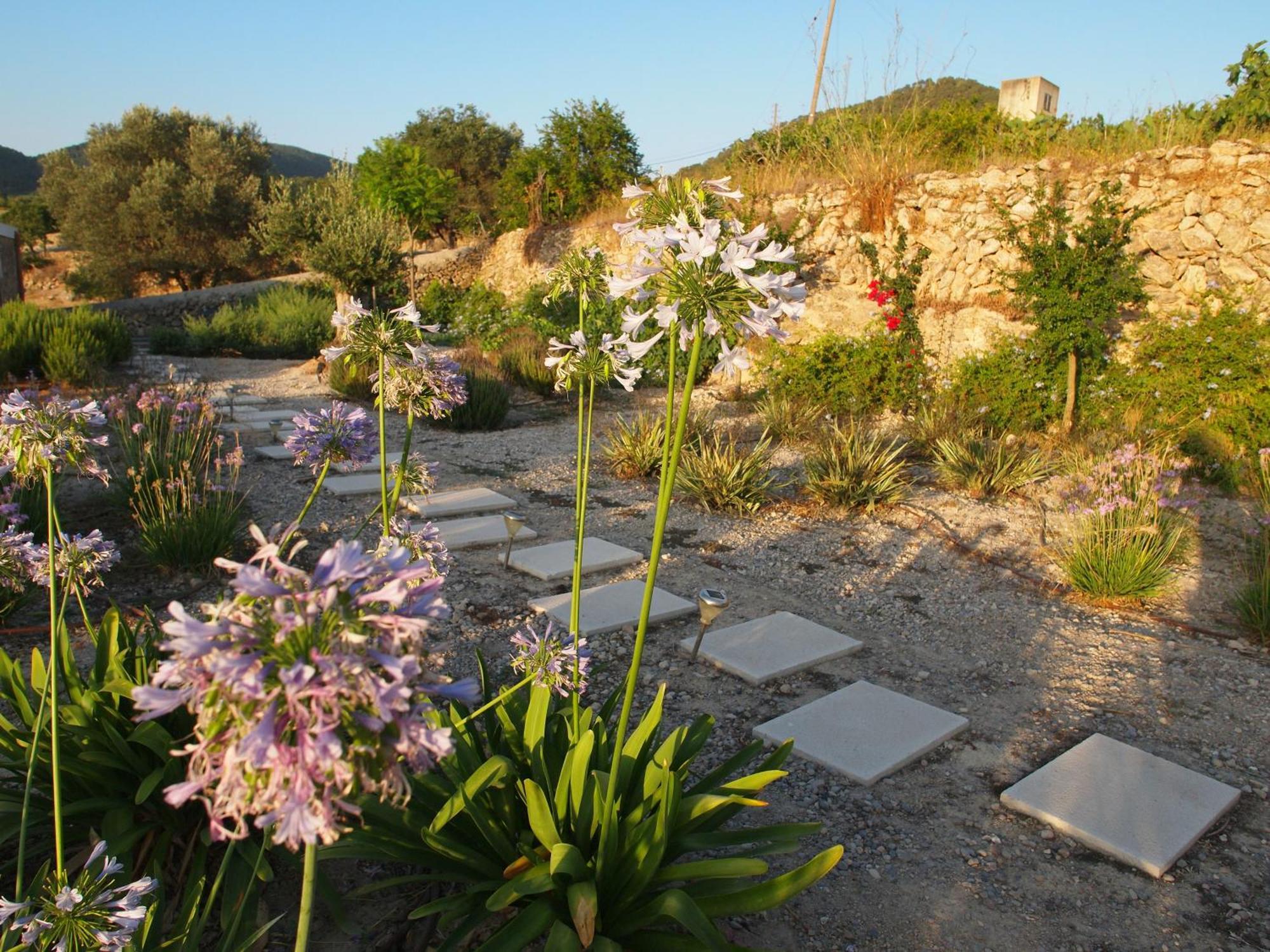 Villa Finca Xo Ibiza *