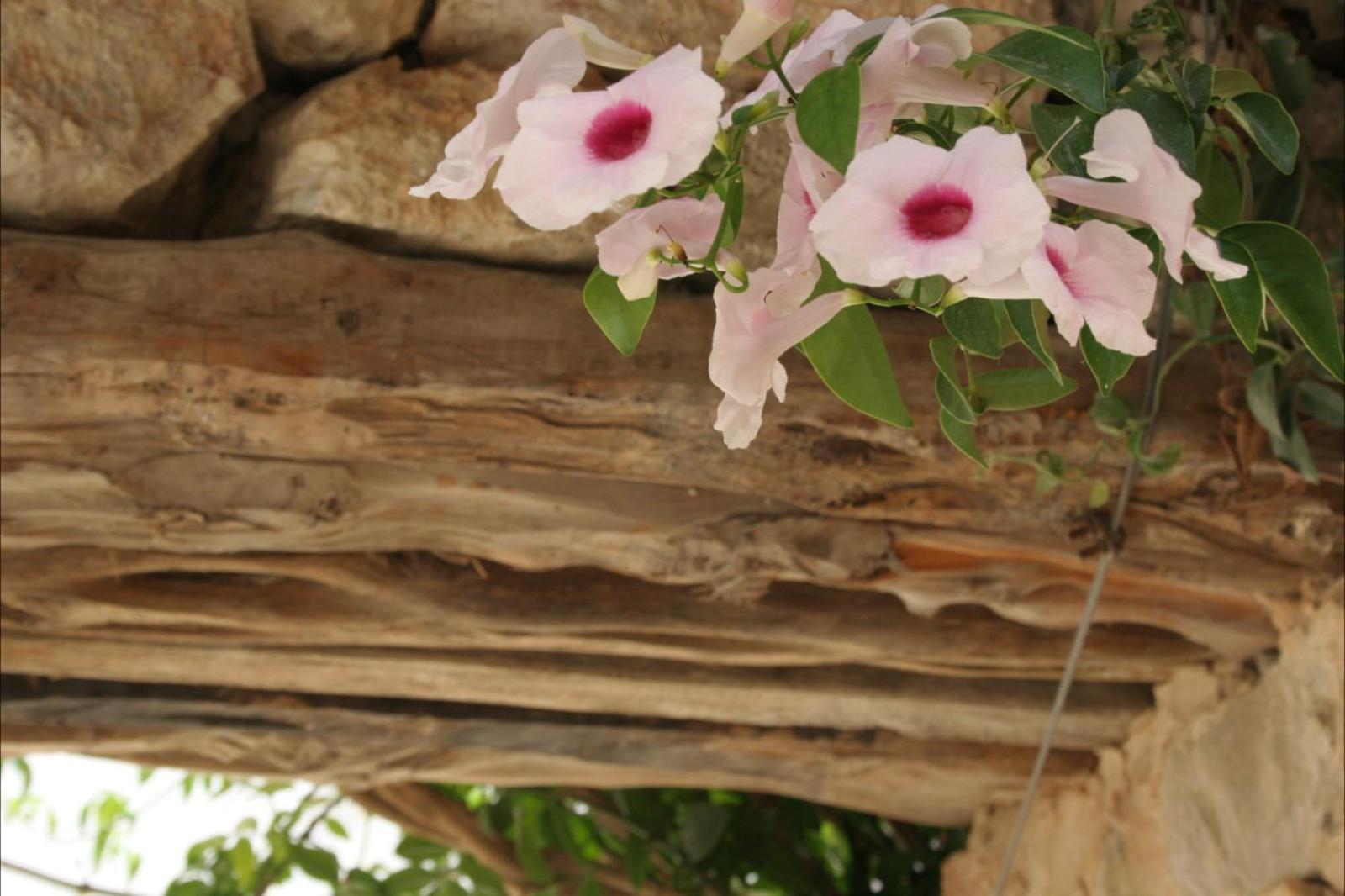 Finca Xo Ibiza * Sant Josep de sa Talaia