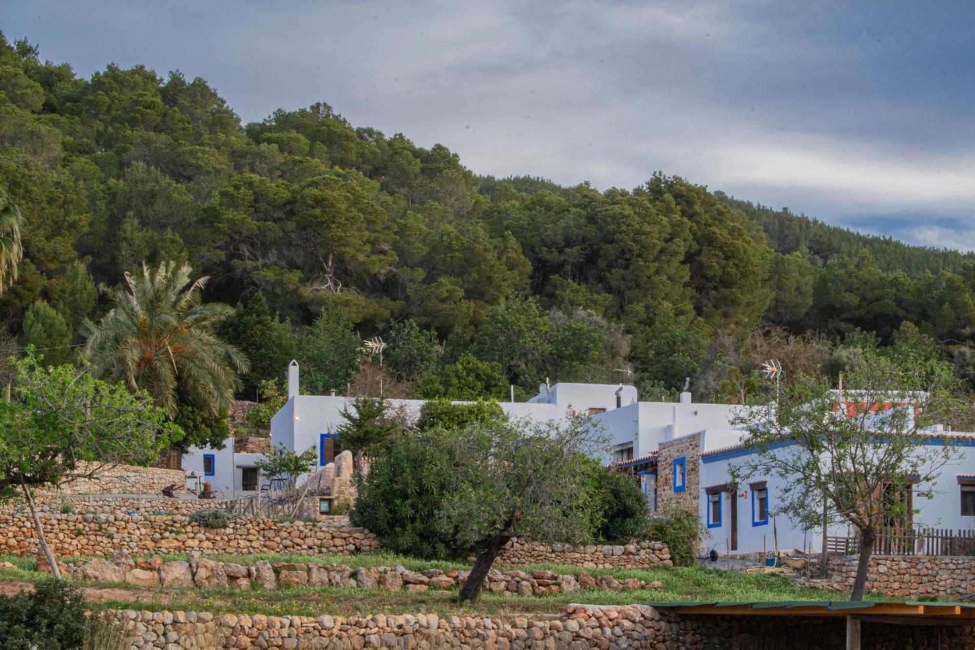 Apartment Rural Prats *