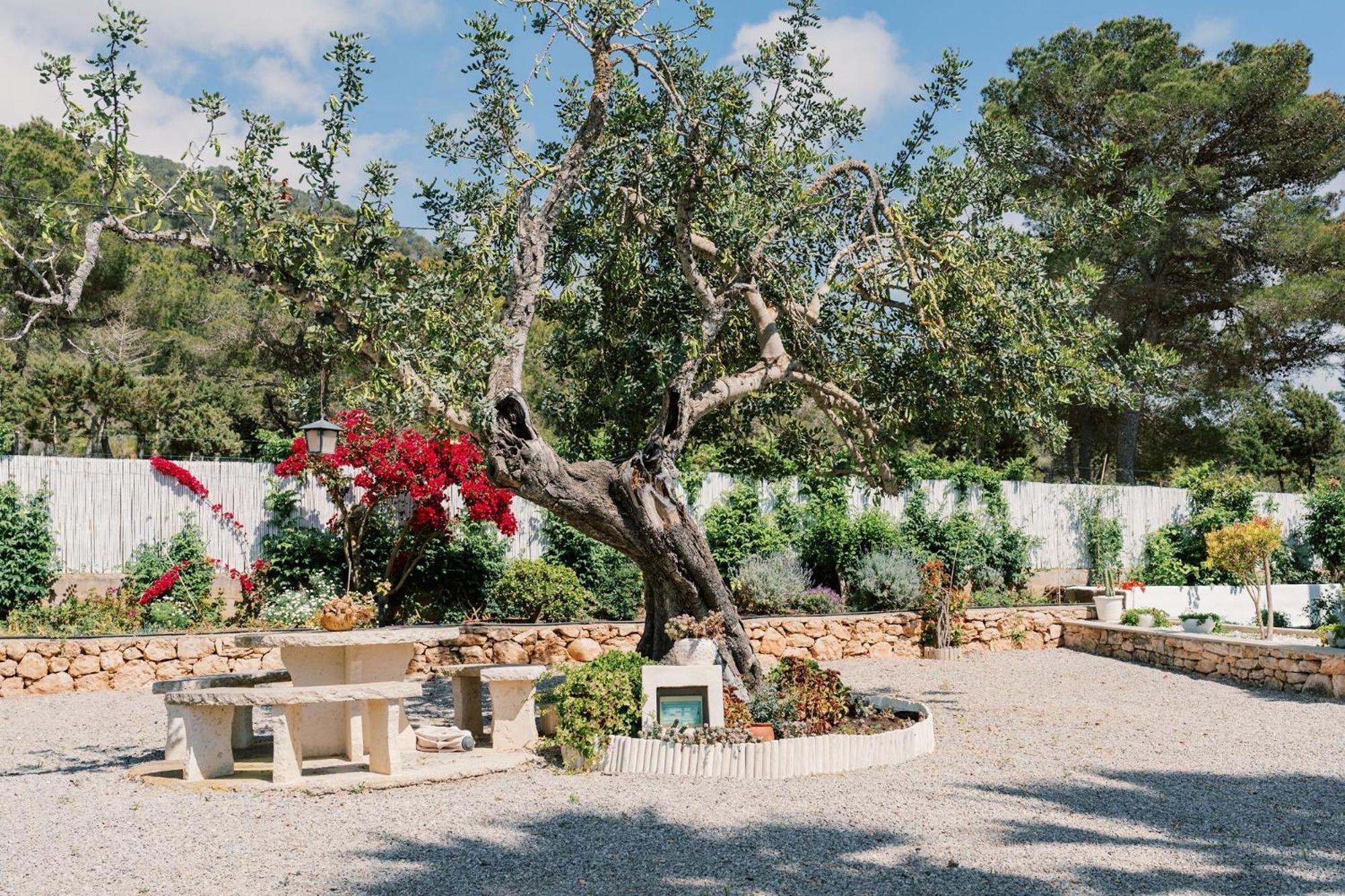Pousada Pep Gibert Cidade de Ibiza