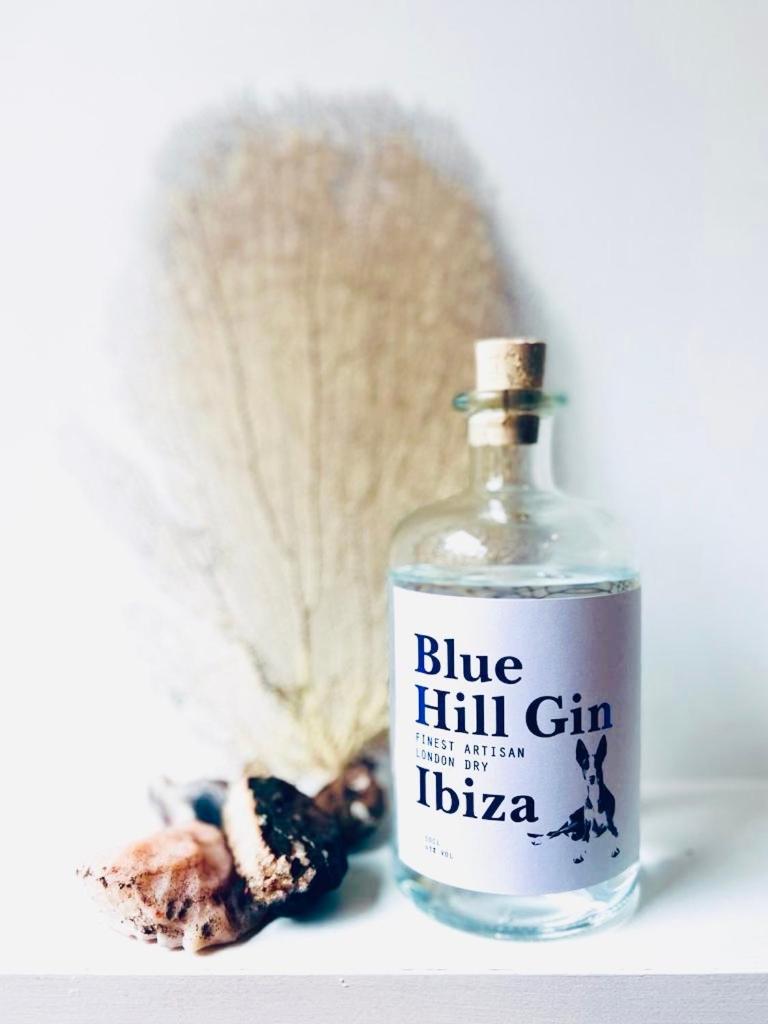 Holiday home Blue Hill House Ibiza 360-Degree Exclusiveness