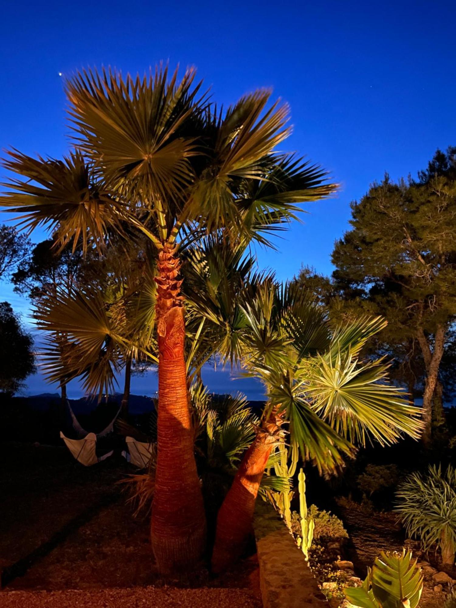 Blue Hill House Ibiza 360-Degree Exclusiveness