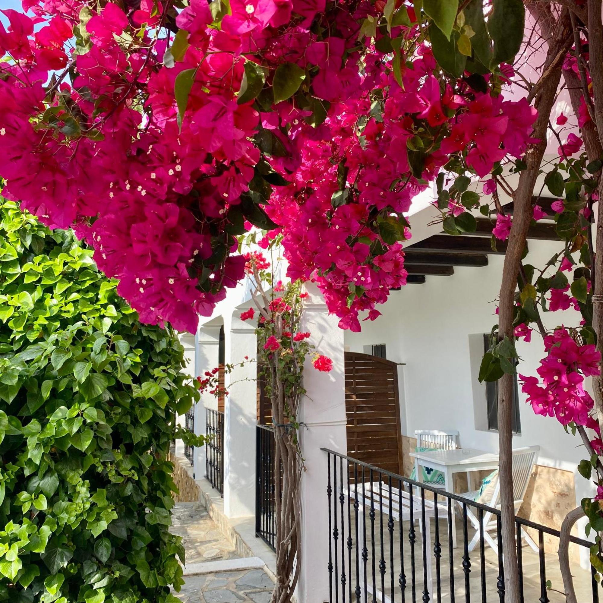 Buenavista Boutique Hotel 3*
