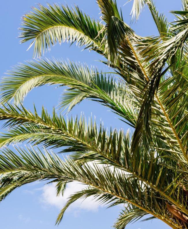Km2 Lovely Located Just Outside Of Sa Carroca A 5 Minute Drive From Playa Den Bossa *