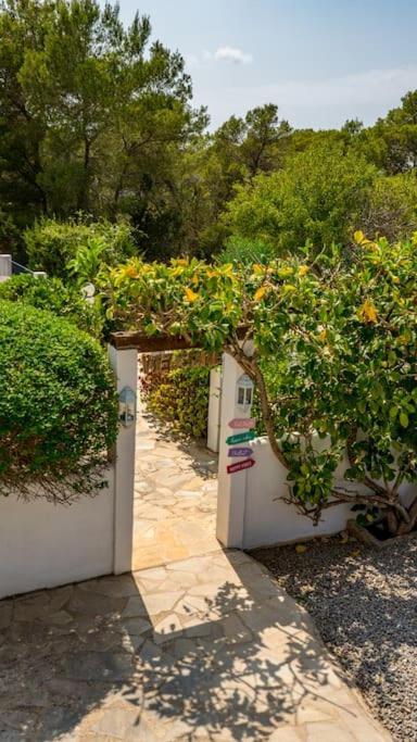 Paradis * San Antonio (Ibiza)