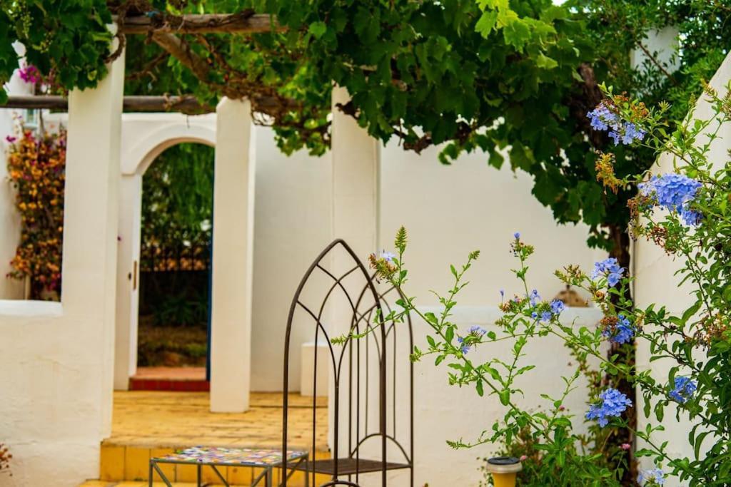 Paradis Villa San Antonio (Ibiza)