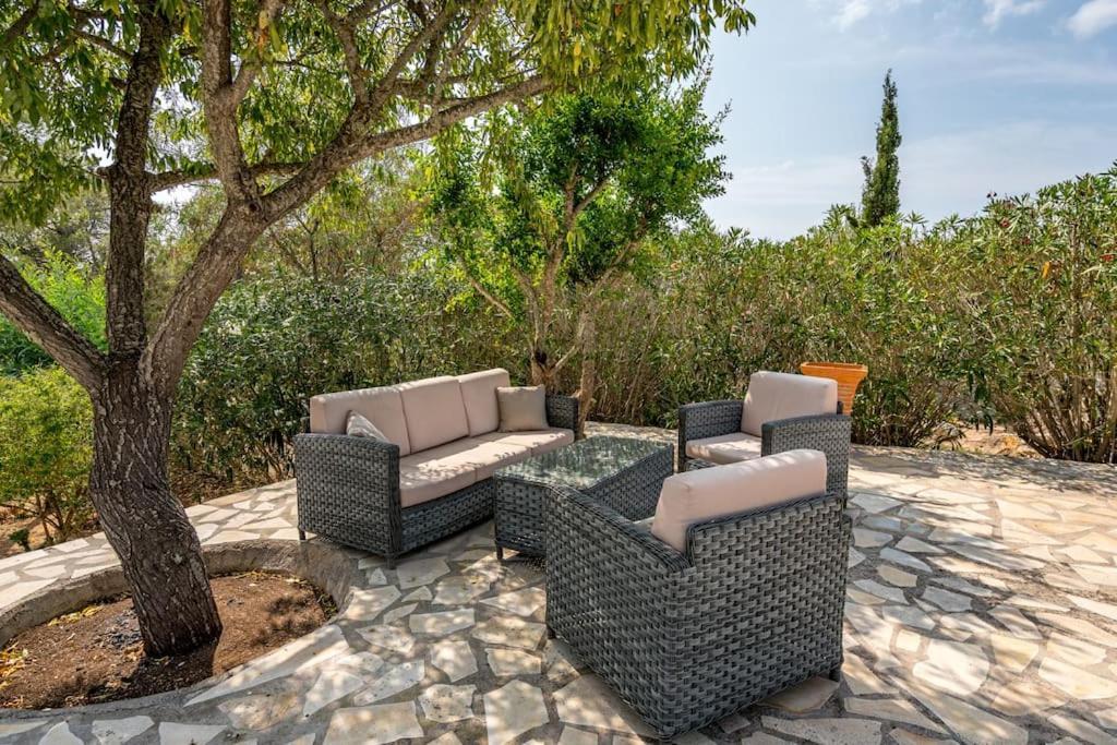 Paradis * San Antonio (Ibiza)
