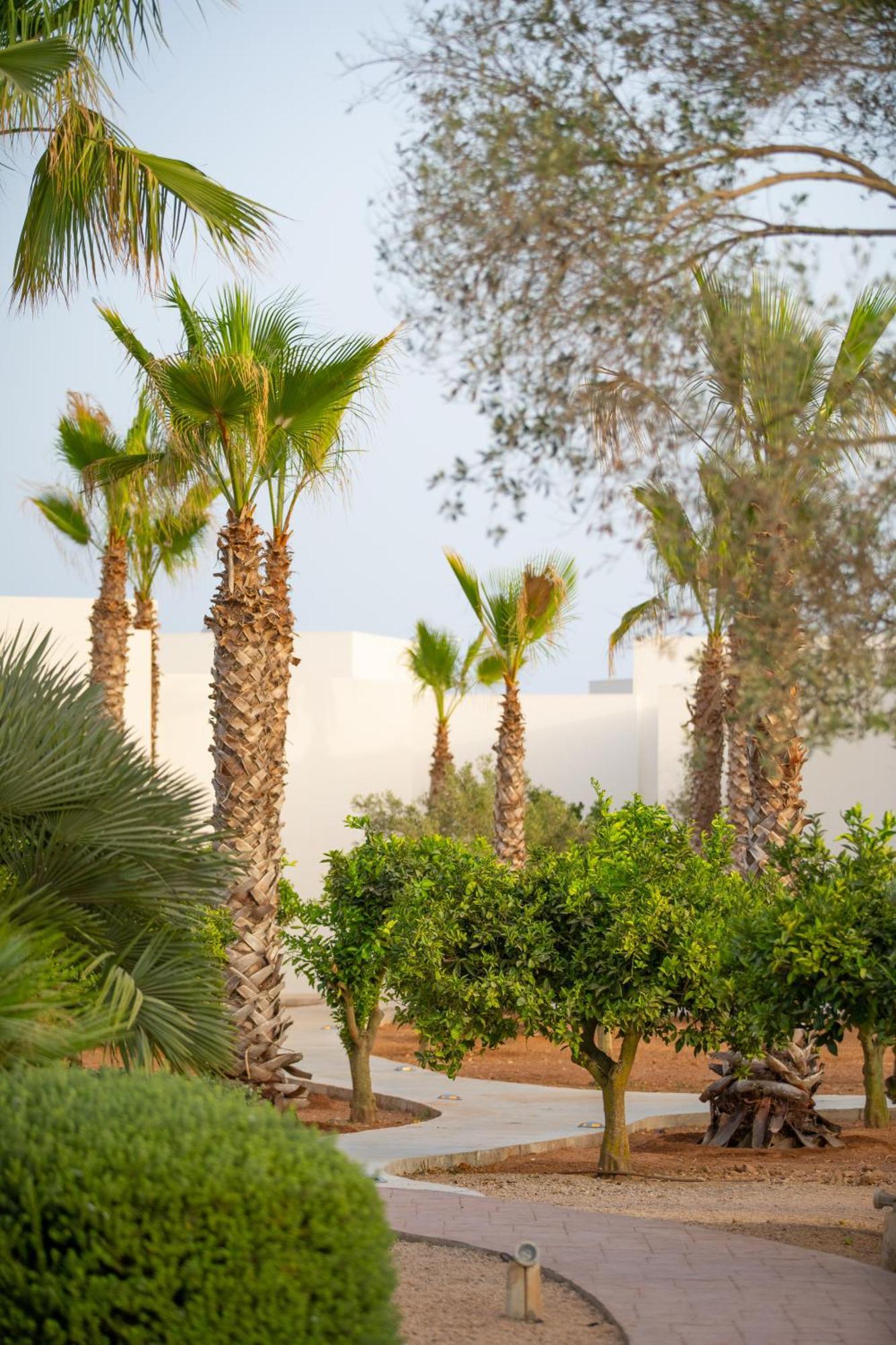 Hotel Jaume Private By Ocean Drive