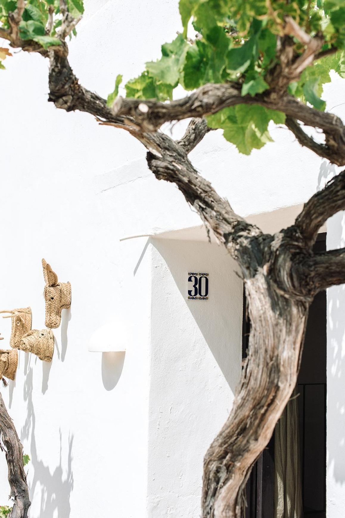 Legado Ibiza