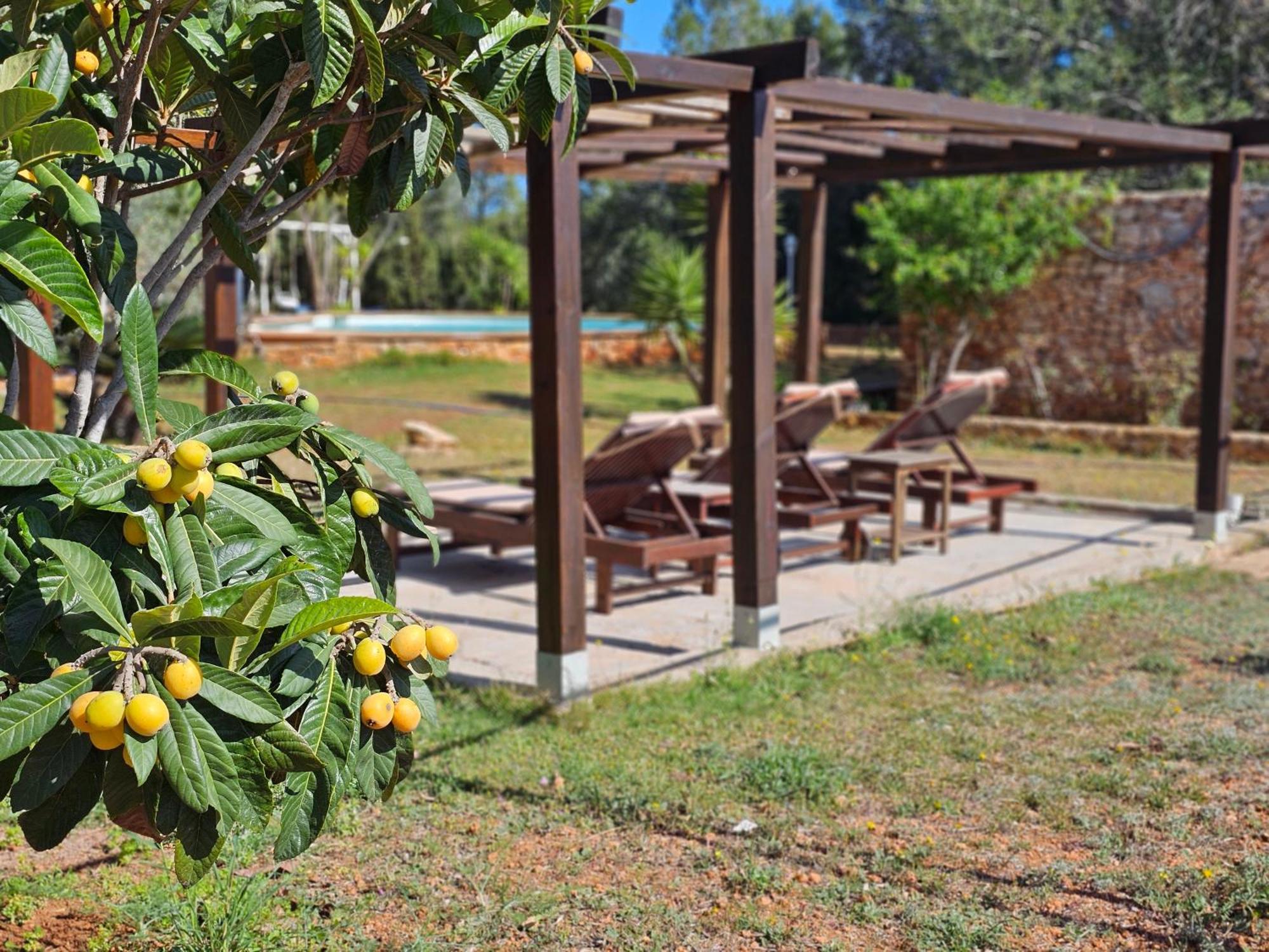 Holiday home Cala Jondal 