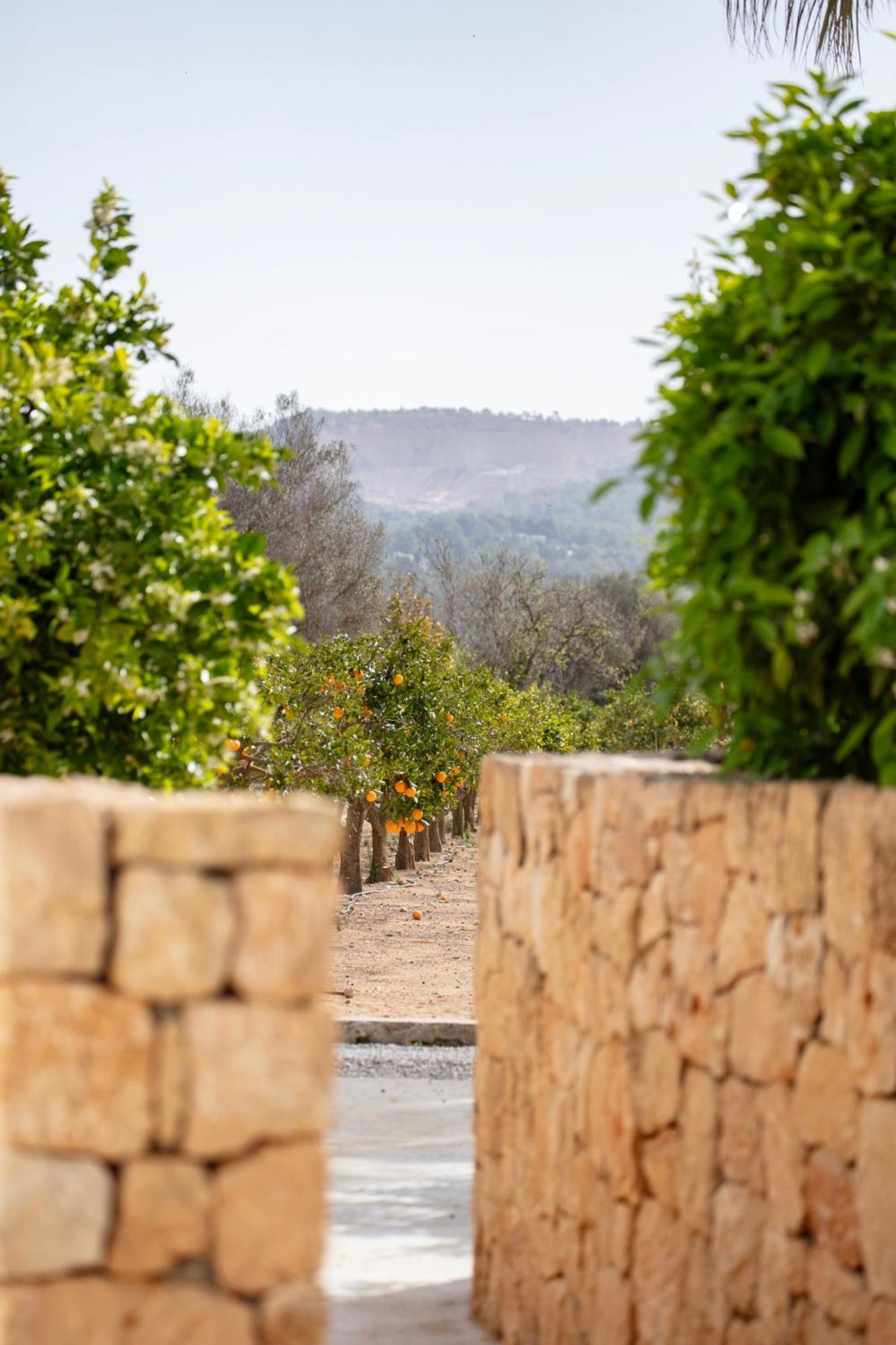 Hotel Jaume Private By Ocean Drive Puig D'en Valls