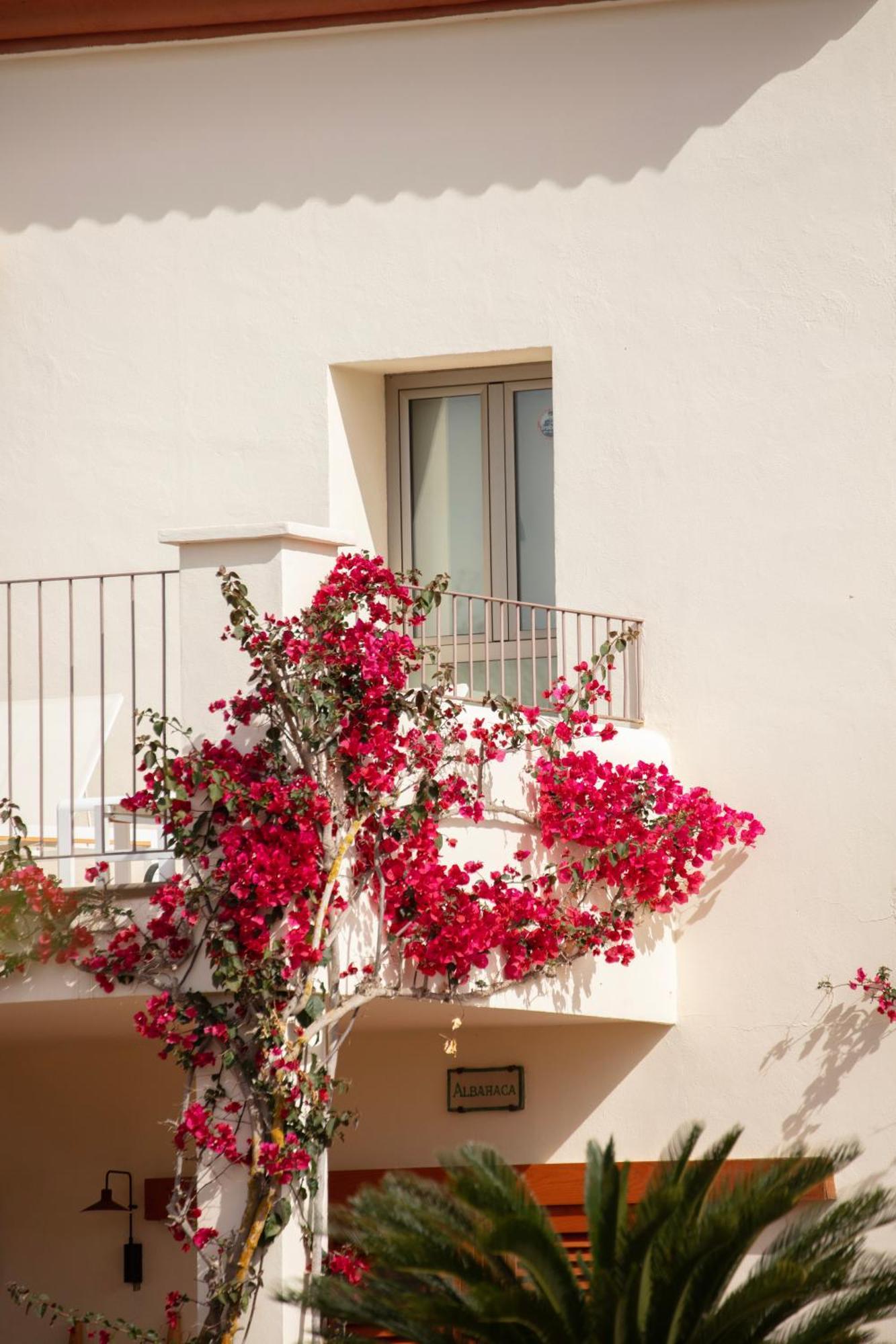Hotel Jaume Private By Ocean Drive