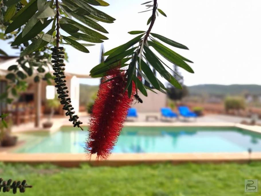 Casa Bet Con Piscina Y Jardin. Сasa de vacaciones Sant Miquel de Balansat