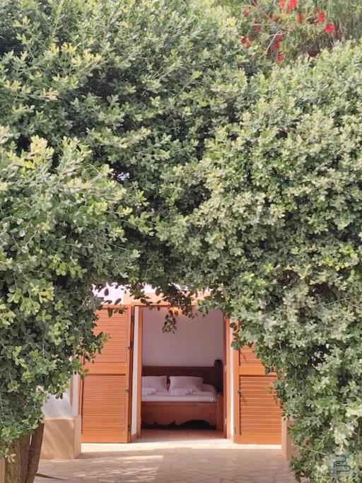 Сasa de vacaciones Casa Bet Con Piscina Y Jardin.